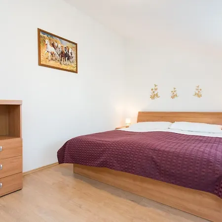 With Pool Ivana Krk 公寓 *